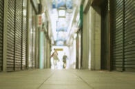 存続意義を失う地方都市
