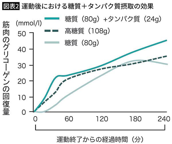 【図表2】運動後における糖質＋タンパク質摂取の効果