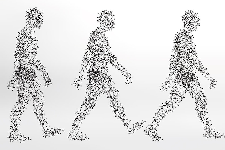 移動効率説、危機回避説……直立二足歩行を可能にした要因として様々な仮説が（写真はイメージです）　Vilmos Varga-Shutterstock