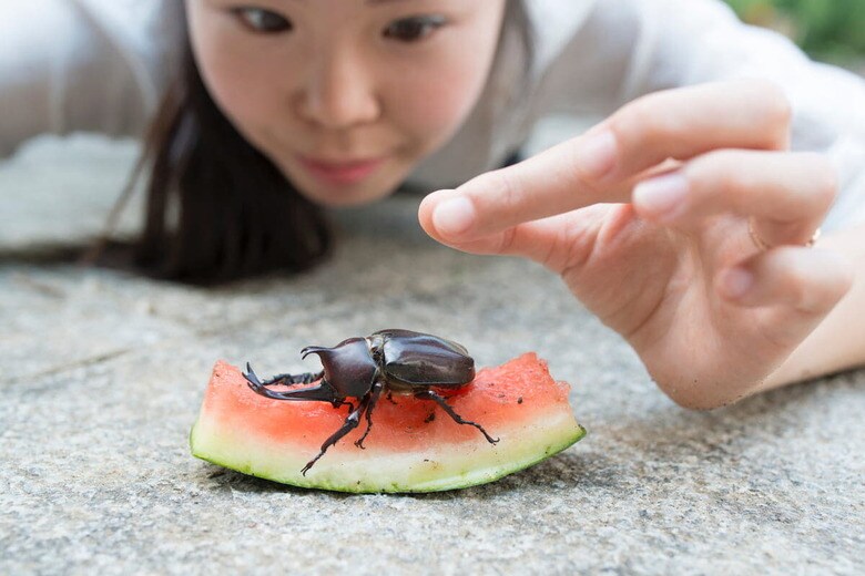 Hakase_ / iStockphoto