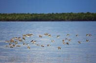 日本は環境政策で「セクシー」以上の牽引役を目指せ