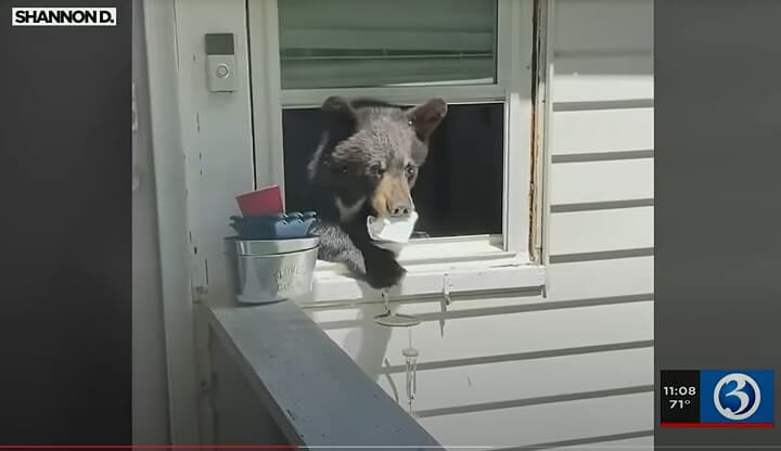WFSB 3-YouTube