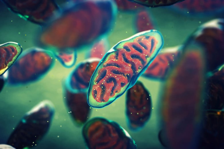 （写真はイメージです）　nobeastsofierce-Shutterstock