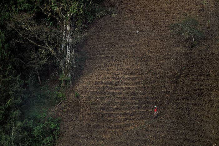 ウズングワの西側に位置するイリンガ州の村で、家のそばの山腹を通り畑仕事に向かう農業労働者。公園や自然保護区がある東側とは異なり、西側には農家が居住し、農業を営んでいる