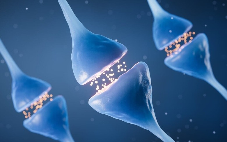 損傷した脳細胞同士のコミュニケーションを回復する方法が見つかった（画像はイメージです）　Vink Fan/Shutterstock