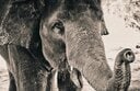 写真はイメージ Alexandre Chambon -unsplash-