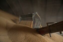ＦＡＯ世界食料価格指数、5月はやや低下　約3年ぶり高水準にとどまる