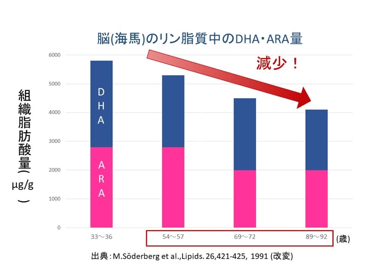 脳の注意機能を支える重要な成分は加齢で減少する