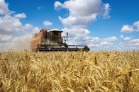 強大な近隣国に攻撃されるウクライナの現状を、「明日のわが身」と考えよ（ドイツ外相）