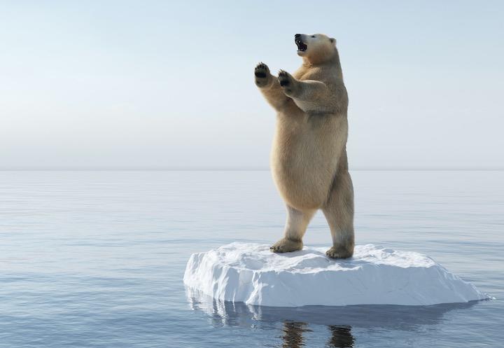 イヌイットの伝承どおりだった......  NiseriN-iStock