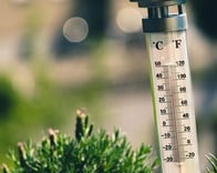「サウナ vs. 湯船」健康に良いのはどちらか？...免疫力を高める生活習慣【最新研究】