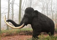 20万年前の「謎の古代人」はどんな顔だったのか…最新研究で浮かび上がったデニソワ人の驚くべき姿