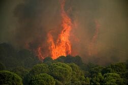 仏ボルドーに山火事迫る、スペインと計数十万人避難