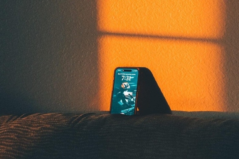 Mahavir-Shah/Pixabay