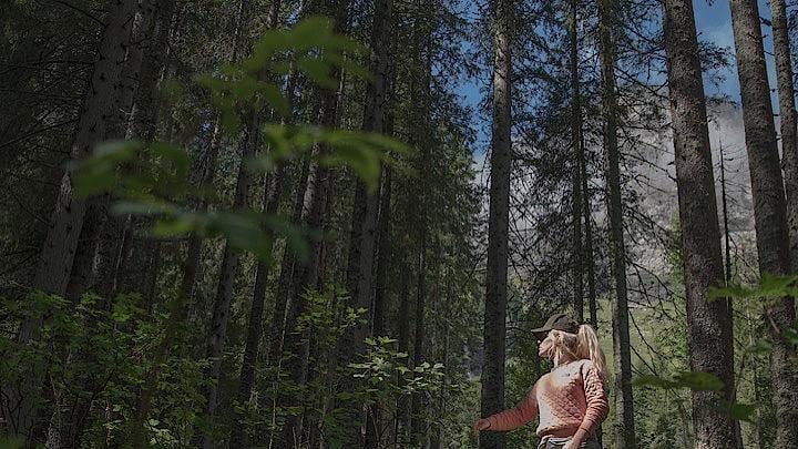 非営利団体フレンズ・オブ・ザーネンヴァルトは、スイスの山に連泊し、毎日、森林浴をするプログラムを開催。2年目の今年も好評だった　　写真提供 Friends of Saanenwald 