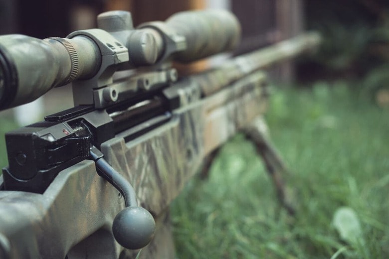 Vitezslav Malina／Shutterstock