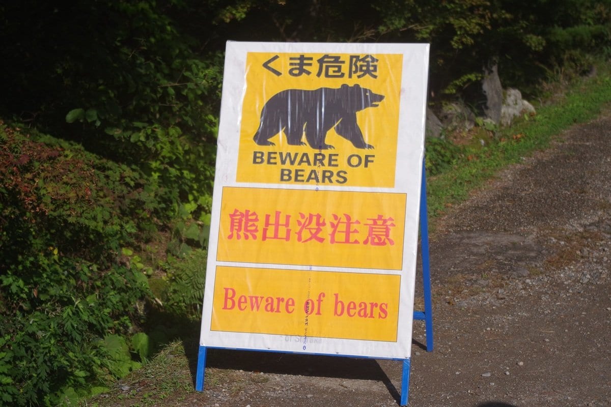 【クイズ】日本で相次ぐクマ被害…日本のクマ被害が統計開始以来「過去最悪」となった年は？

世界の今が見える！ニューズウィーク日本版、大人向け難問クイズ