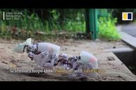 ３Dプリンター製「ロボットネズミ」　瓦礫山積みの災害現場で活躍に期待