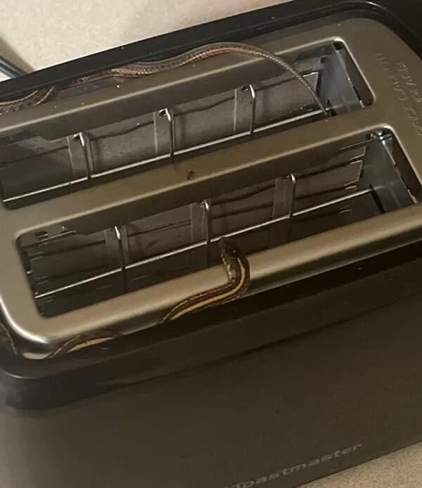 snake-toaster.jpg