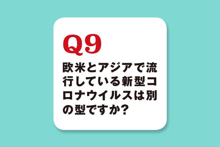 ニューズウィーク日本版特別編集ムック「COVID-19のすべて」17ページより