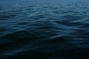 Conor Sexton -unsplash-