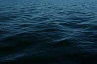 頭が透明で「目」が丸見え…深海600メートルで撮影された奇妙な魚の驚くべき映像
