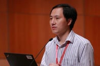 暴走する中国ゲノム研究