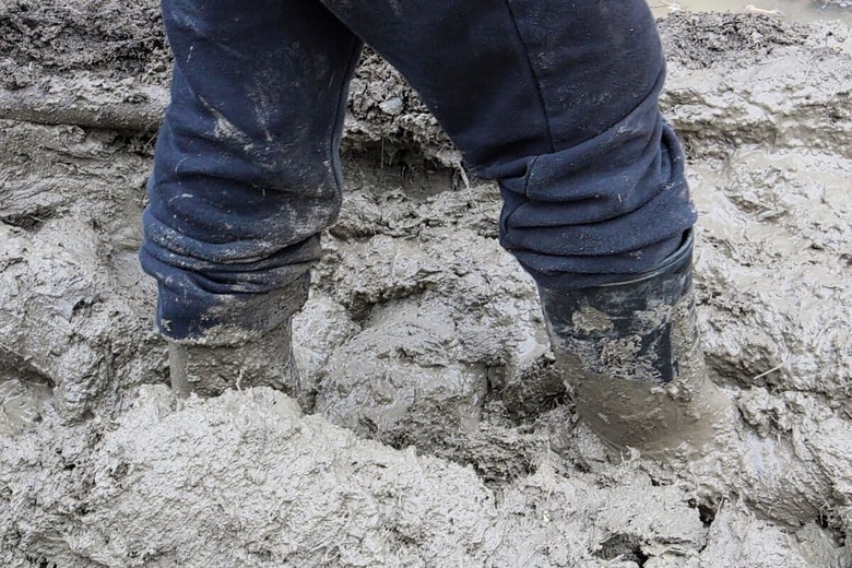 （写真はイメージです）　Akchamczuk-iStock