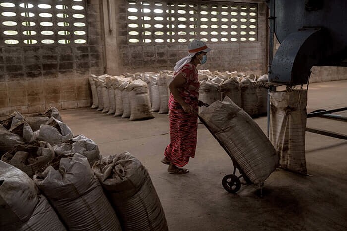 タイ南部のチュンポーンにある魚粉工場の作業員。雑魚などを加熱調理し、粉砕して作られる魚粉は家畜飼料やペットフードに利用される。魚粉需要の高まりが乱獲を招き、食物連鎖の底辺を崩壊させかねない(1月23日)