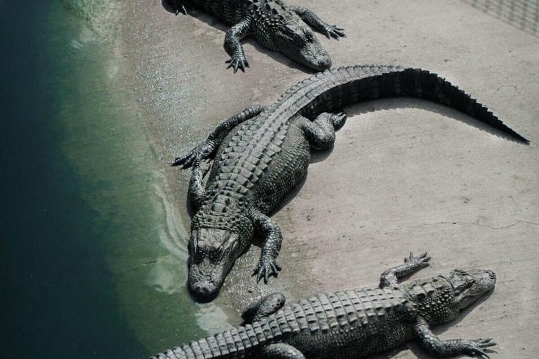 （写真はイメージです）　Amber Kipp-Unsplash