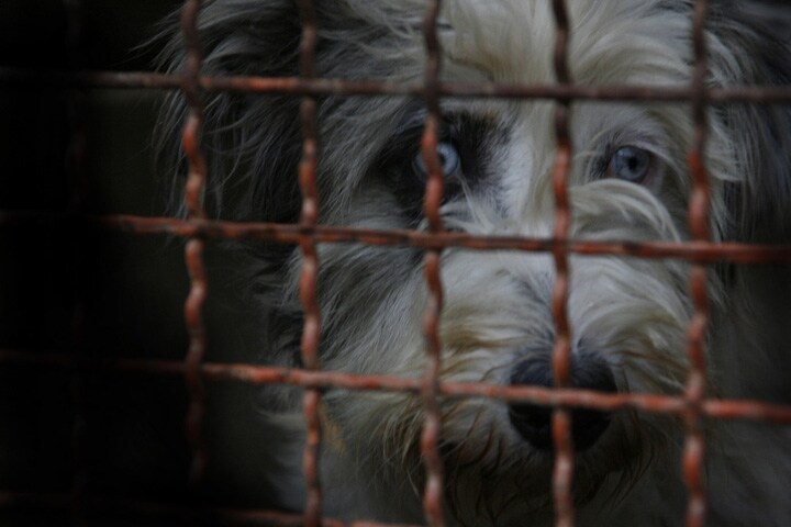 写真はイメージです。　yogidan-iStock.