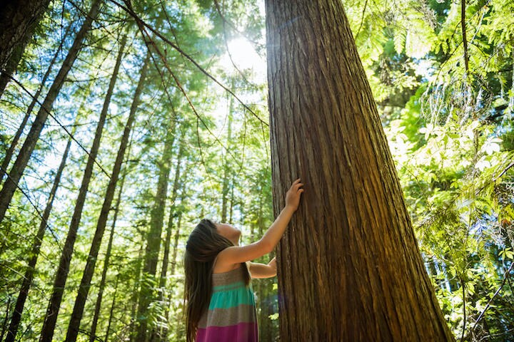 「自然」なら何でもいいわけではない！？......  stockstudioX-iStock