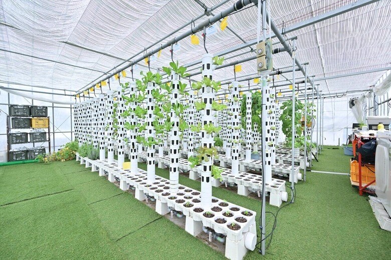 ふじさわアクポニビレッジのタワー型栽培設備