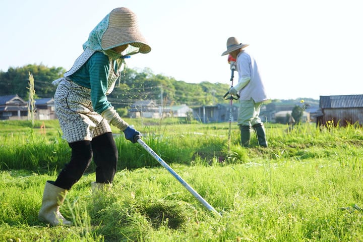 今後働く高齢者はますます増えていくと予想される　maroke/iStock.