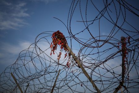 　北朝鮮国営の朝鮮中央通信（ＫＣＮＡ）は１１月１日、同国が前日に発射したのは最新の大陸間弾道ミサイル（ＩＣＢＭ）「火星１９」で、ＩＣＢＭの最終完結版だと伝えた。１０月３１日、南北境界の非武装地帯（ＤＭＺ）の韓国側で撮影（２０２４年　ロイター/Kim Hong-Ji）