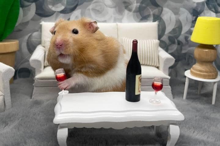 写真はイメージ　Conny V-iStock