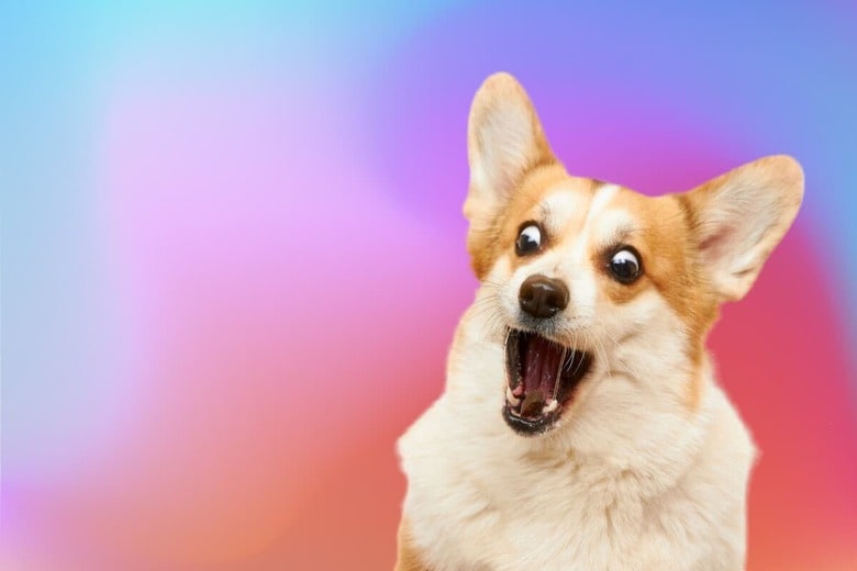 （写真はイメージです）　Anton Zainchkovsky-iStock