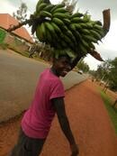 働くという事。仕事という概念。