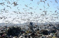 「世界最大のごみ捨て場」中国の終焉──日本のプラスチックごみはどこへいく