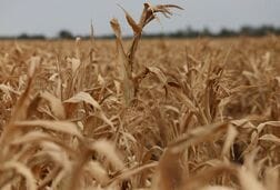 ＦＡＯ世界食料価格指数、22年11月以来の高水準
