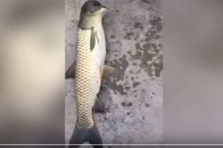 World Live-YouTubeより