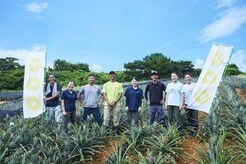 ピーチパインを軸にした「理想の循環」実現に大きく前進...西表島ホテルが進めるエコツーリズム