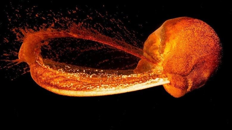 原始地球と巨大な天体テイアが衝突した後...... (Jacob Kegerreis-NASA)