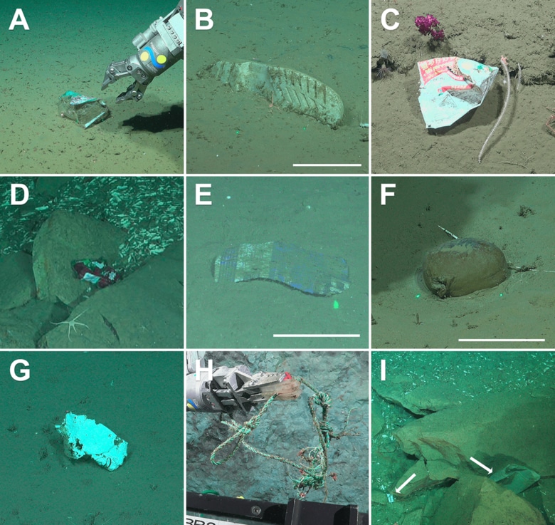 マルデルプラタ海底峡谷で収集されたゴミ　Misha Vallejo, Schmidt Ocean Institute / PLOS One