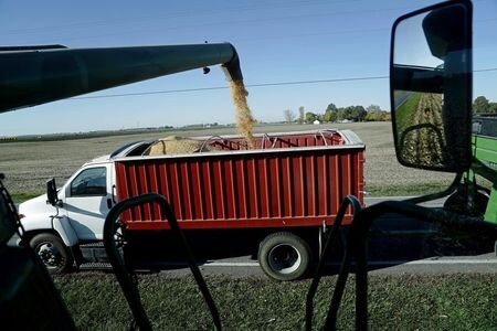 １１月３日の米大統領選が迫る中、トランプ大統領が今年実施した農家補助金が過去最高の５１２億ドルに達する見通し。インディアナ州ウッドバーンで１６日撮影（２０２０年　ロイター/BING GUAN）