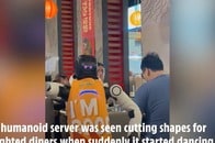 【動画】「制御不能」に陥ったロボットが、レストランで大暴走...周囲の客は爆笑も、危険性を指摘する声