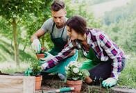 意外？ 家事やガーデニングなどの身体活動でも脳の老化が抑制できる