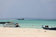 紅海経由貨物輸送の保険料上昇、フーシ派のサウジ船「海上封鎖」宣言で