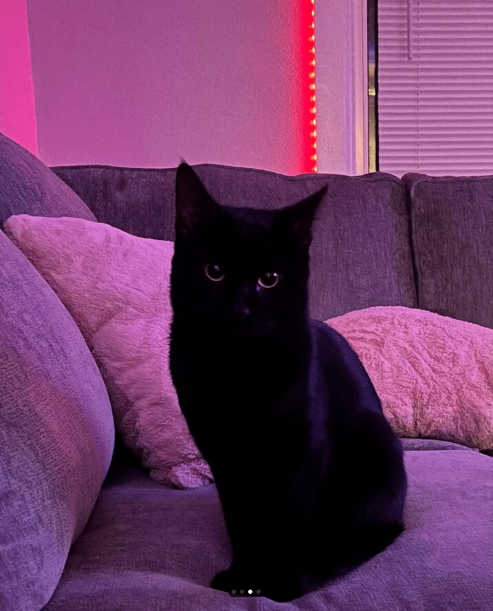 スクリーンショット (59).png