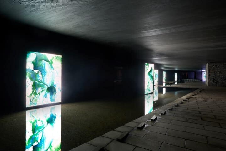 スギヤマタクヤのインスタレーション